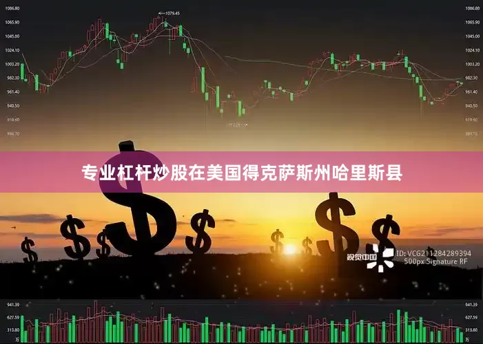 专业杠杆炒股在美国得克萨斯州哈里斯县