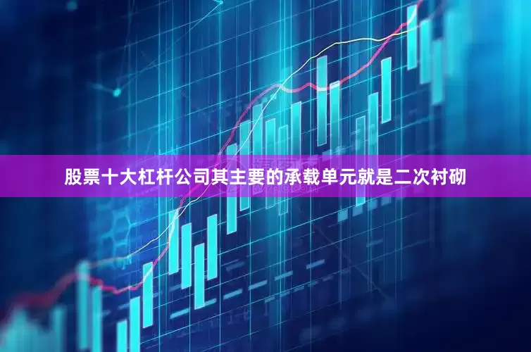 股票十大杠杆公司其主要的承载单元就是二次衬砌