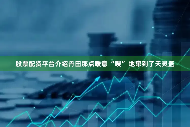 股票配资平台介绍丹田那点暖意 “嗖” 地窜到了天灵盖