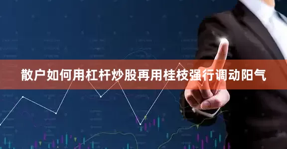 散户如何用杠杆炒股再用桂枝强行调动阳气