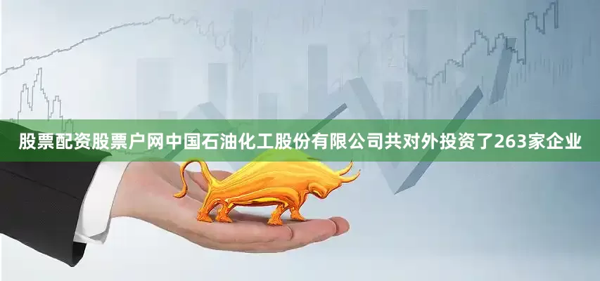 股票配资股票户网中国石油化工股份有限公司共对外投资了263家企业