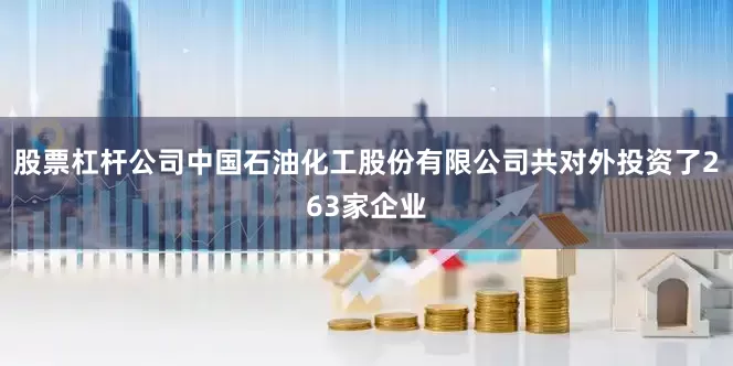 股票杠杆公司中国石油化工股份有限公司共对外投资了263家企业