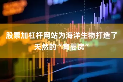 股票加杠杆网站为海洋生物打造了天然的“育婴房”