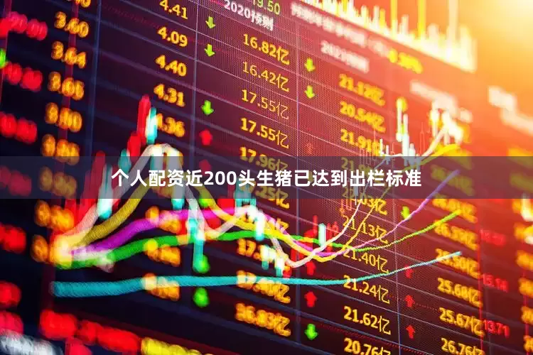 个人配资近200头生猪已达到出栏标准