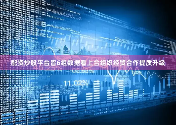 配资炒股平台皆6组数据看上合组织经贸合作提质升级