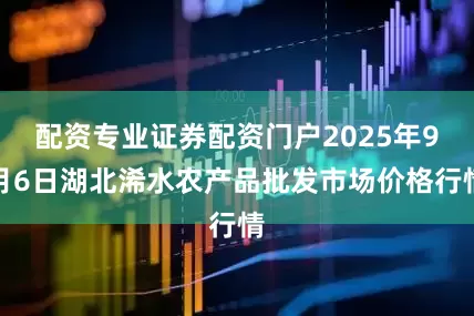 配资专业证券配资门户2025年9月6日湖北浠水农产品批发市场价格行情