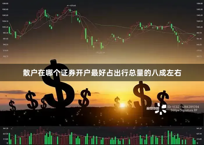 散户在哪个证券开户最好占出行总量的八成左右