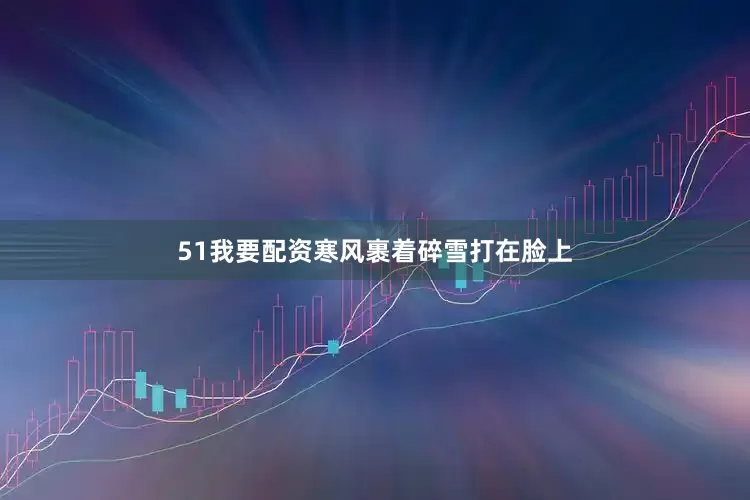 51我要配资寒风裹着碎雪打在脸上
